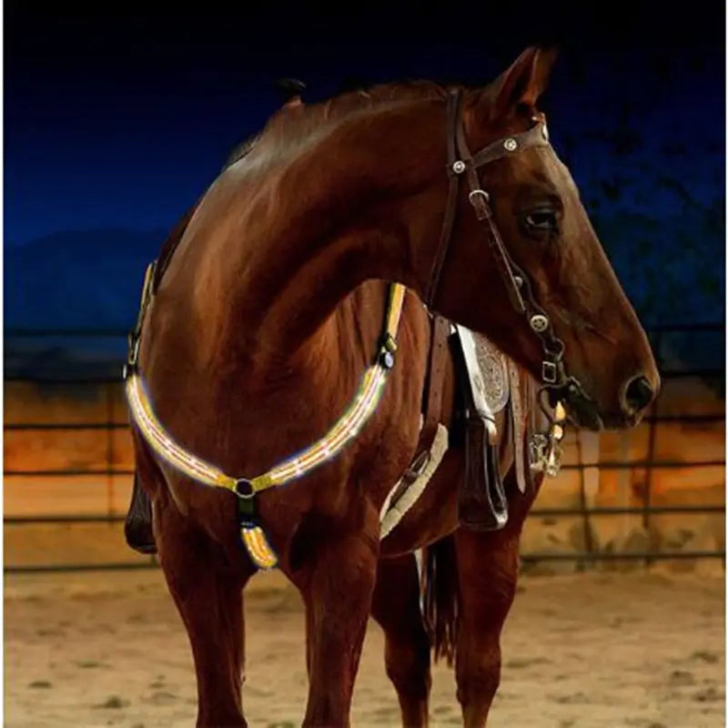 Nylon LED Horse Harness