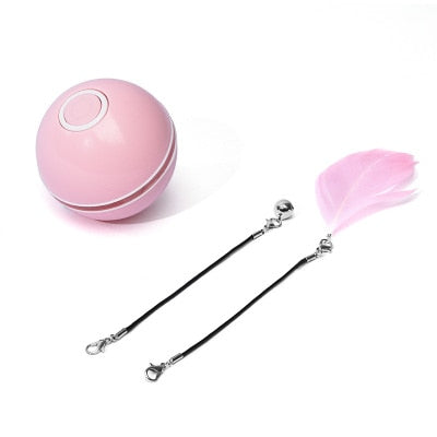 Funny Colorful Electric LED Cat Toy