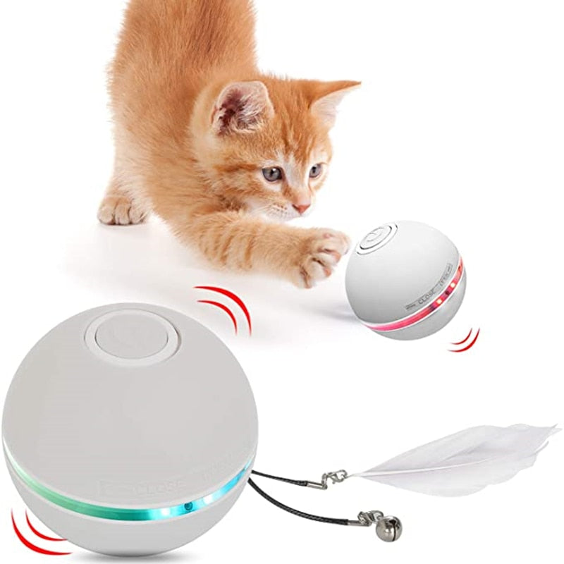 Funny Colorful Electric LED Cat Toy