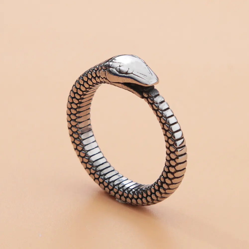 Retro Norse Mythology Men Ouroboros Ring