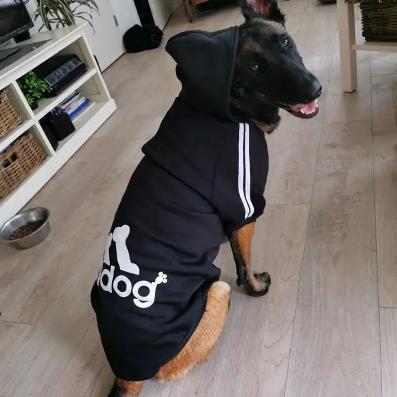 Dog Hoodies