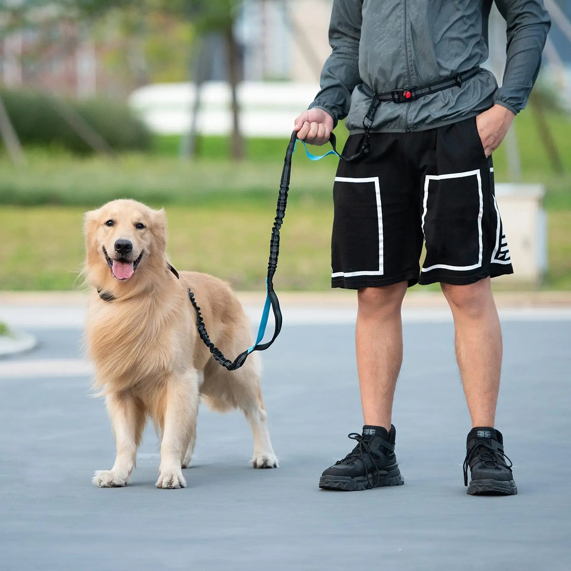 Canine Waist Pack