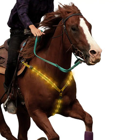 Nylon LED Horse Harness