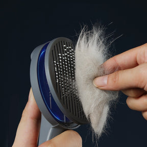 Pet Comb