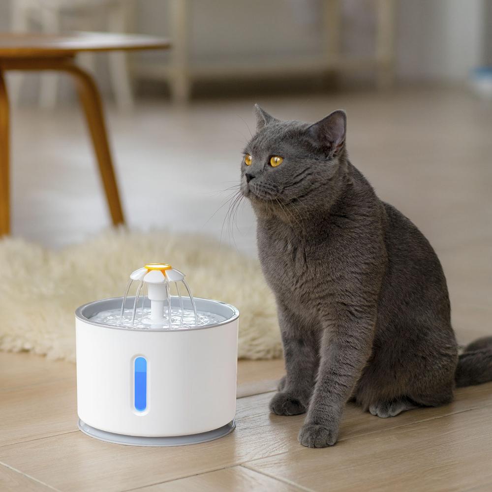 Pet Drinking Fountain Dispenser