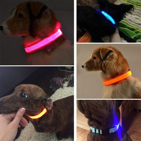 Adjustable LED Glowing Pet Collar