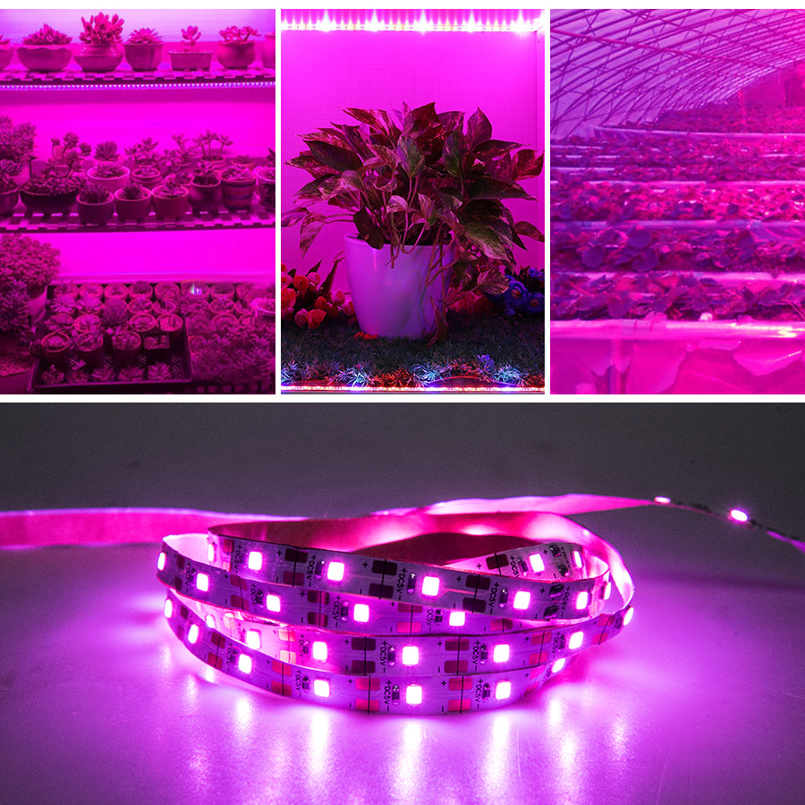 Full Spectrum LED Strip