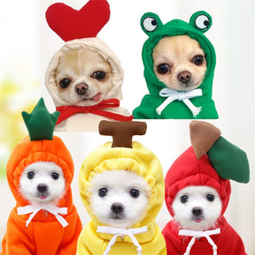 Warm Dog Winter Clothes Cute Fruit Dog