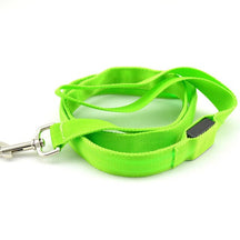 Reflective LED Dog Leash