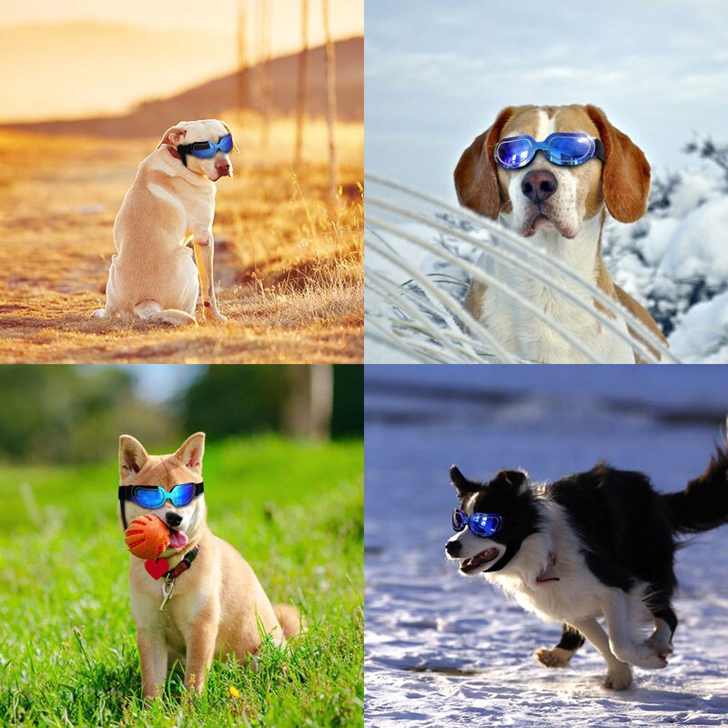 Protection Dog Sunglasses