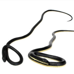 Soft Rubber Prank Snake Toy